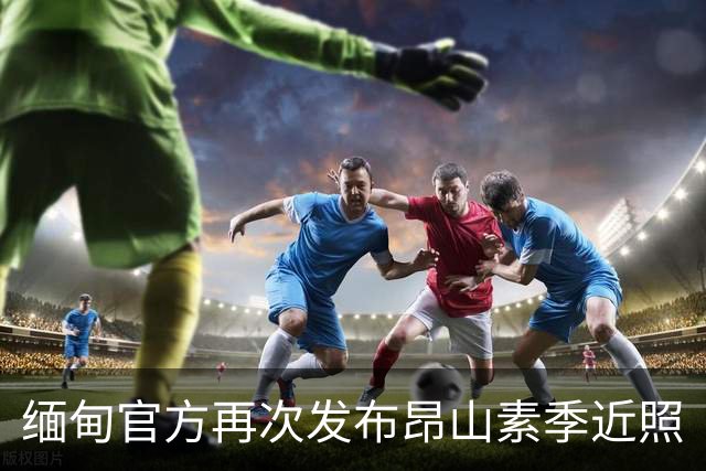 缅甸官方再次发布昂山素季近照